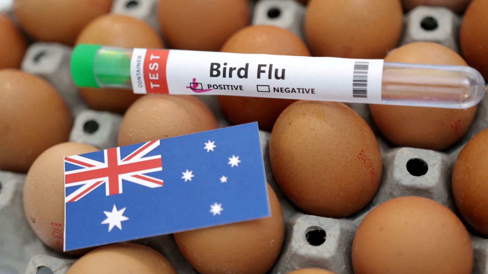 Australia confirms second H5N1 bird flu case