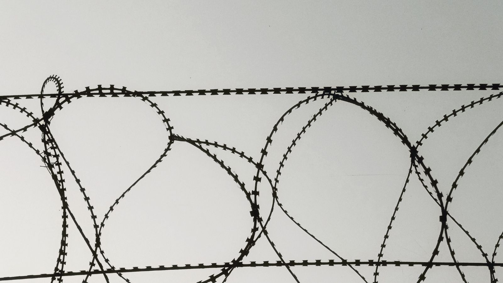 Pakistan intruder apprehended along LoC in J&K’s Poonch