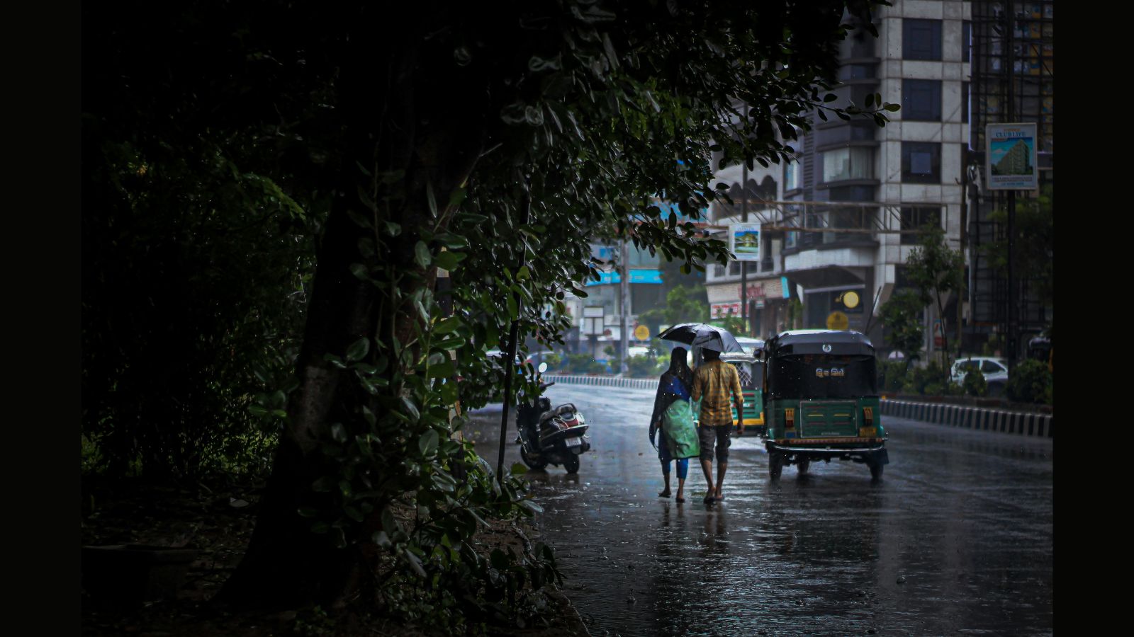 Kerala rains: Orange alert issued for two districts today
