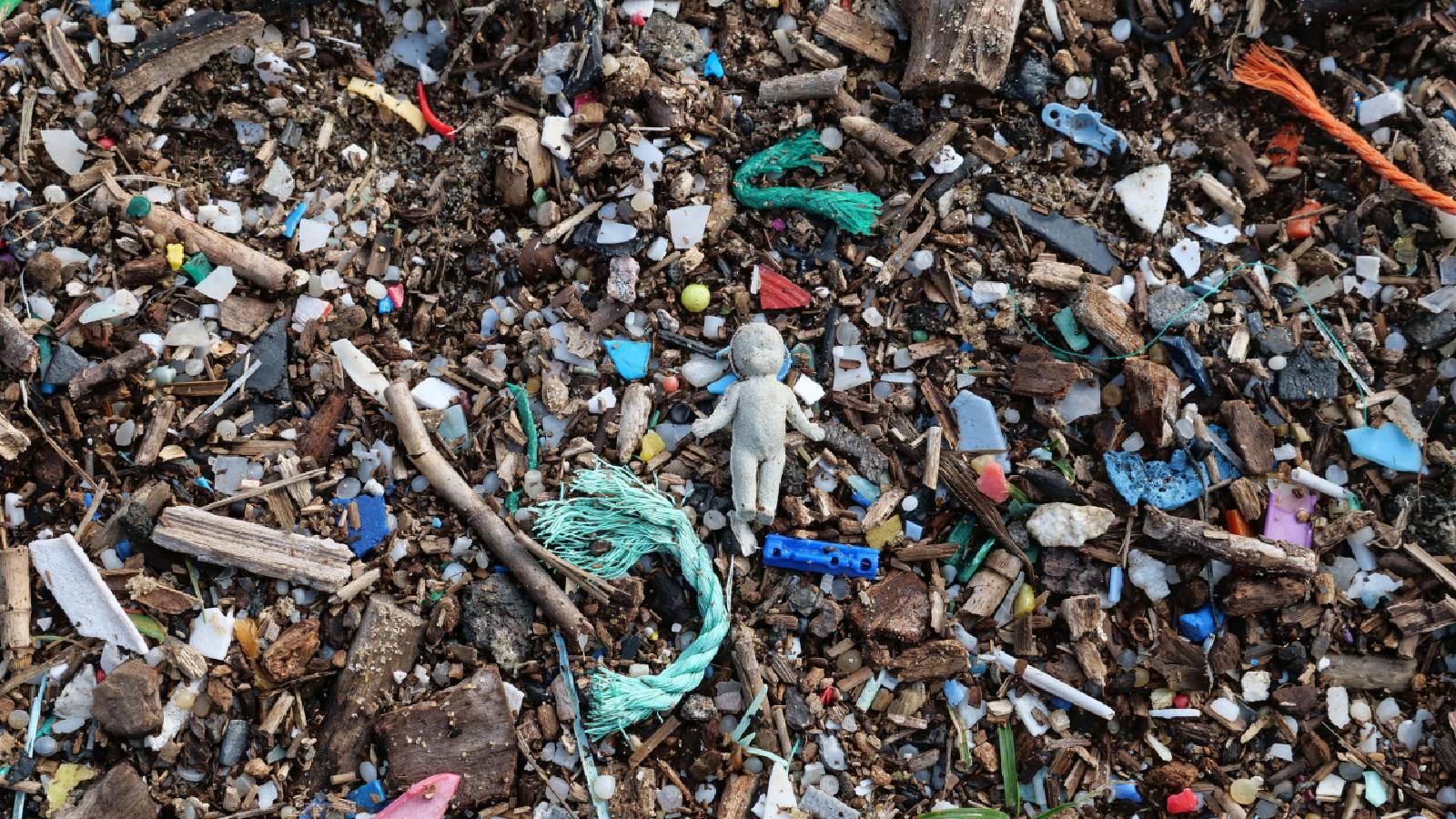 "Your garbage, everyone's waterlogging": Delhi High Court