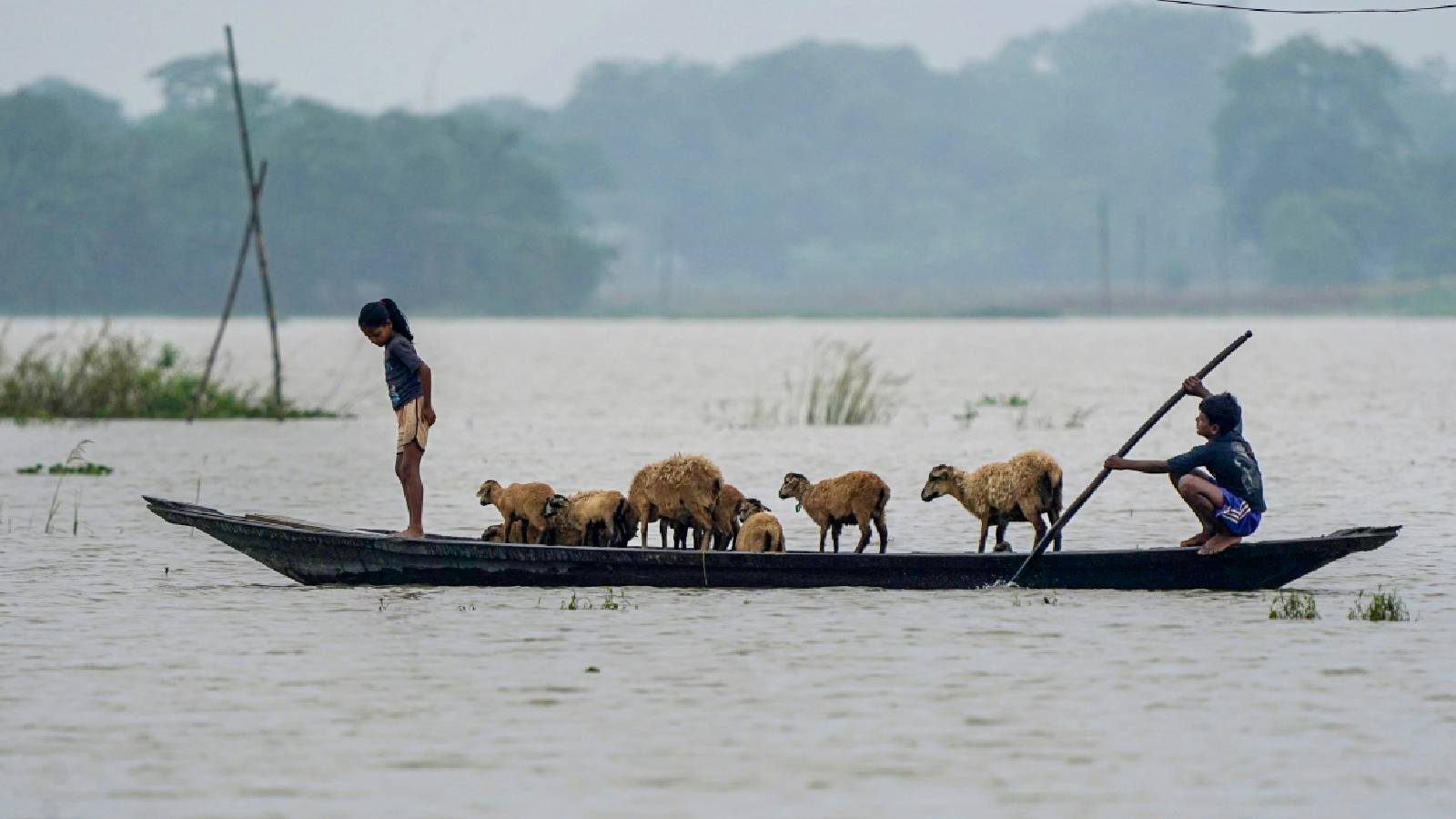 There is land shortage for rehabilitation of calamity-hit people says Assam Minister