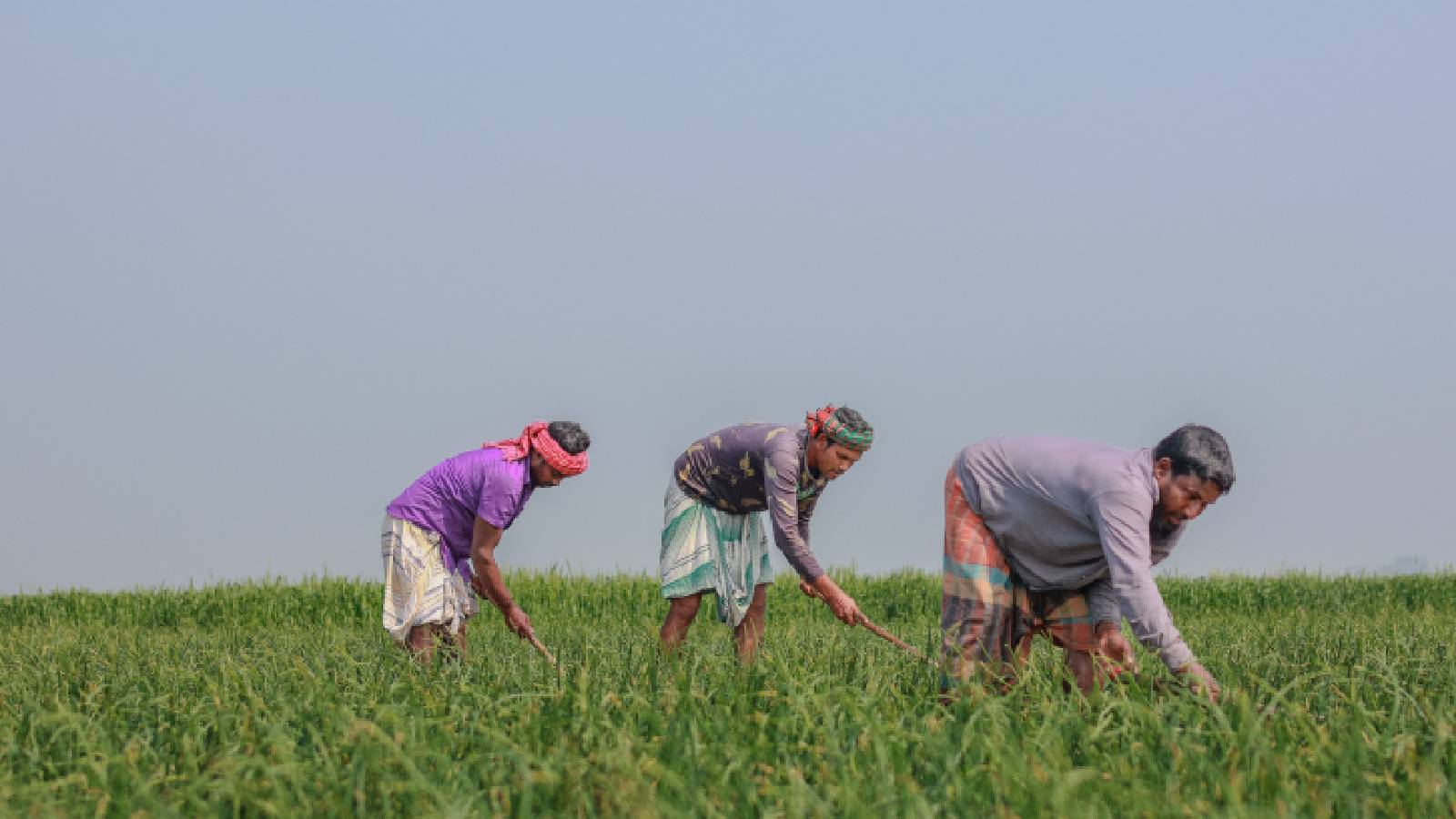 Himachal's biodiversity conservation scheme to boost ecology, enhance farmers' income