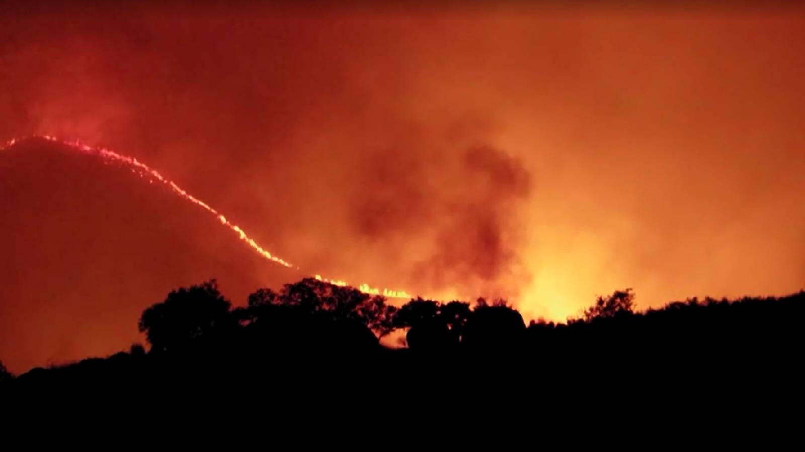 Wildfires explained: Why they are spreading faster than ever