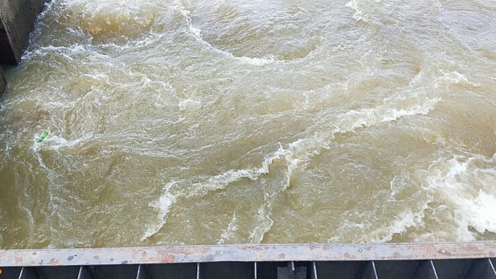 Cauvery water sharing with Tamil Nadu: Pro- Kannada groups protest
