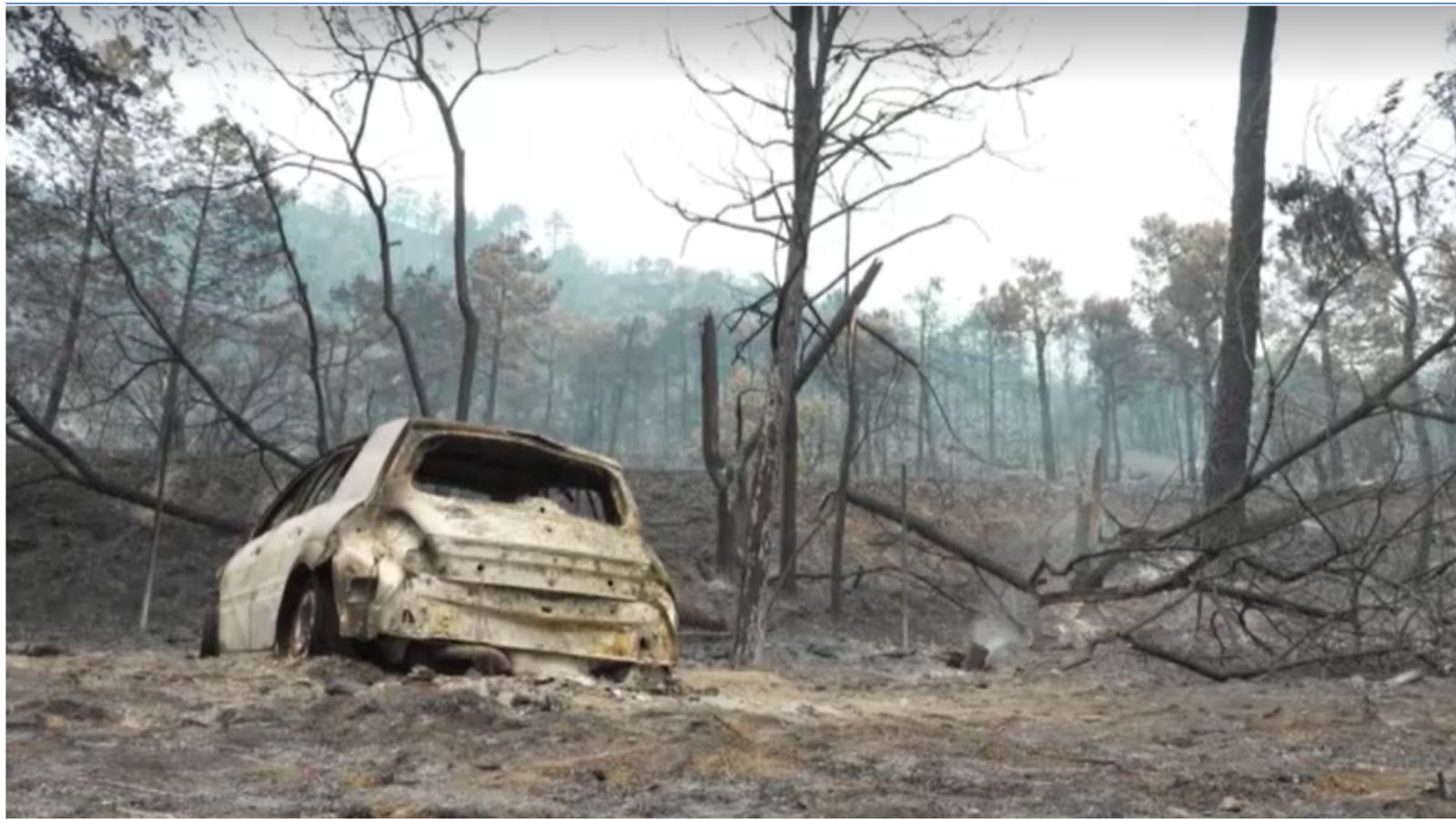 Heatwave and stronger winds threaten Spain's wildfire response