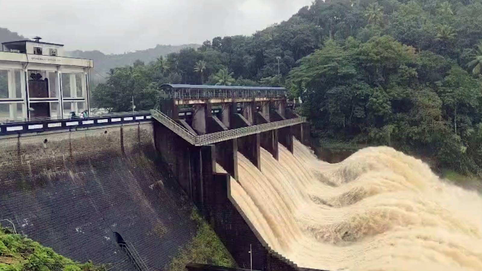 Kerala rain: Eight dead, holiday for schools, colleges in nine districts tomorrow | LIVE