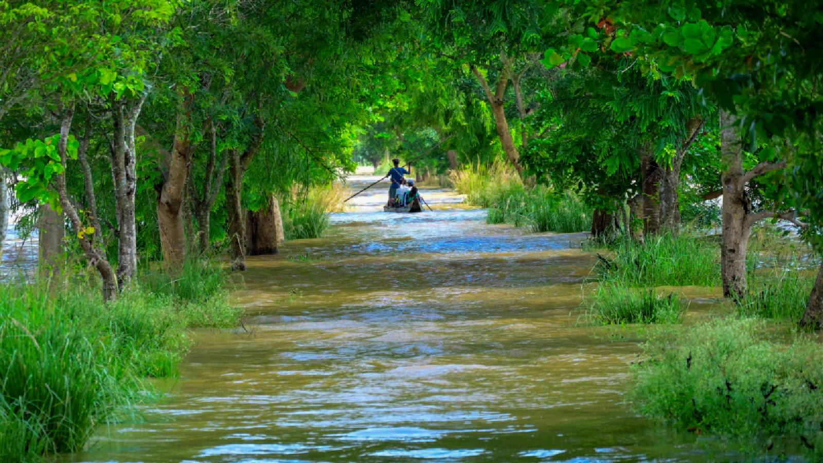 Odisha Flood: Excess water discharged from Hirakud reach Cuttack, 10 districts on high alert