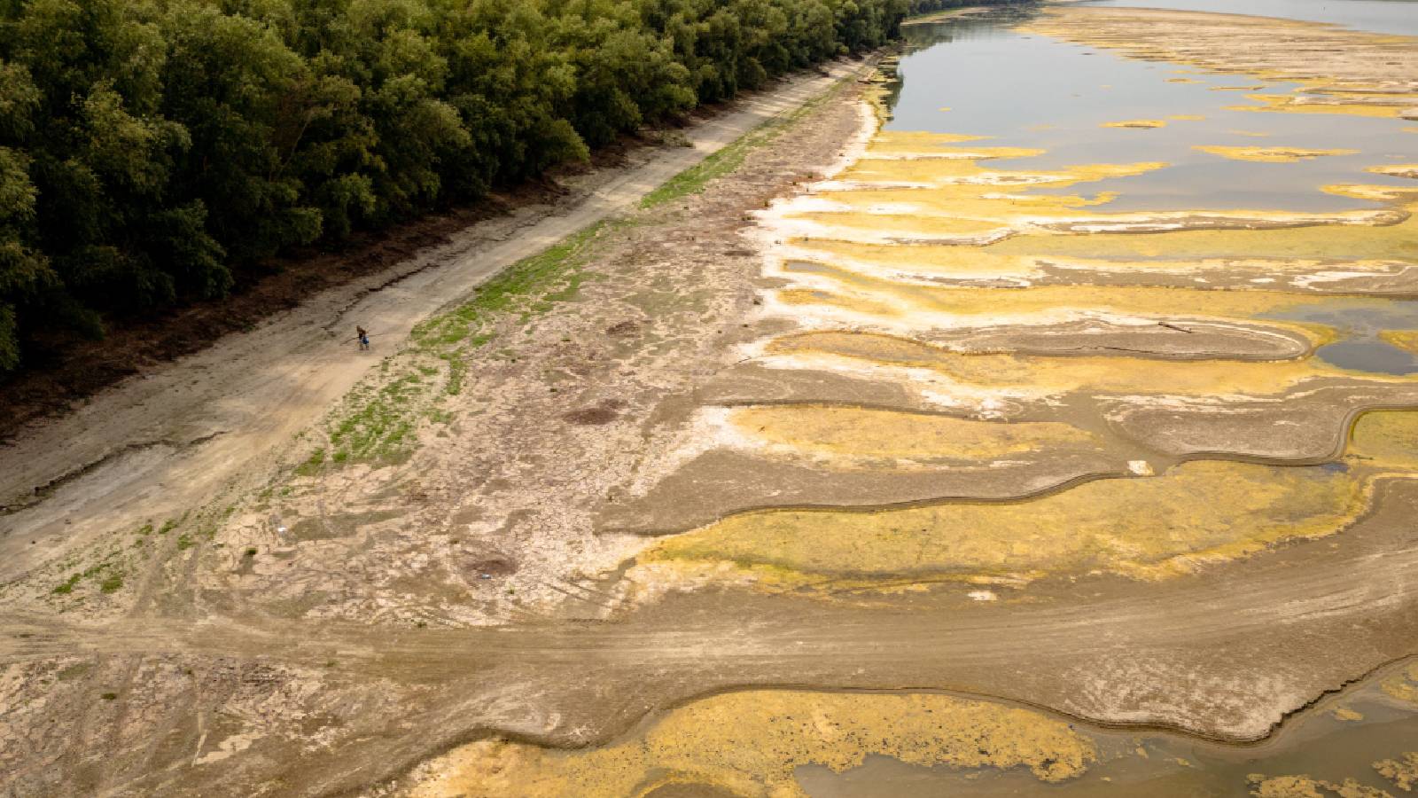 Drought lowers Danube River, exposing sunken World War II German warships