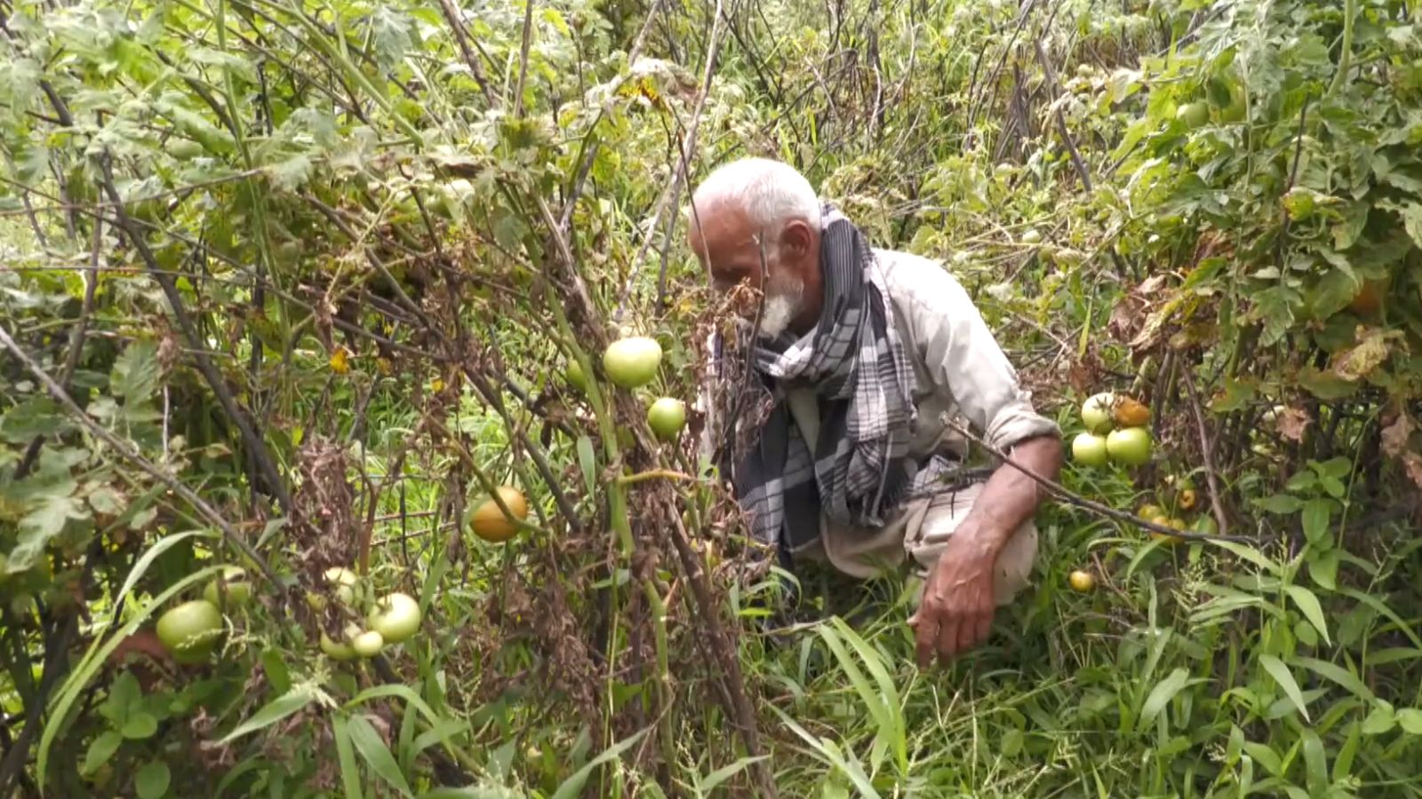 Union Cabinet approves twin tunnel projects in Jammu and Kashmir to boost agriculture