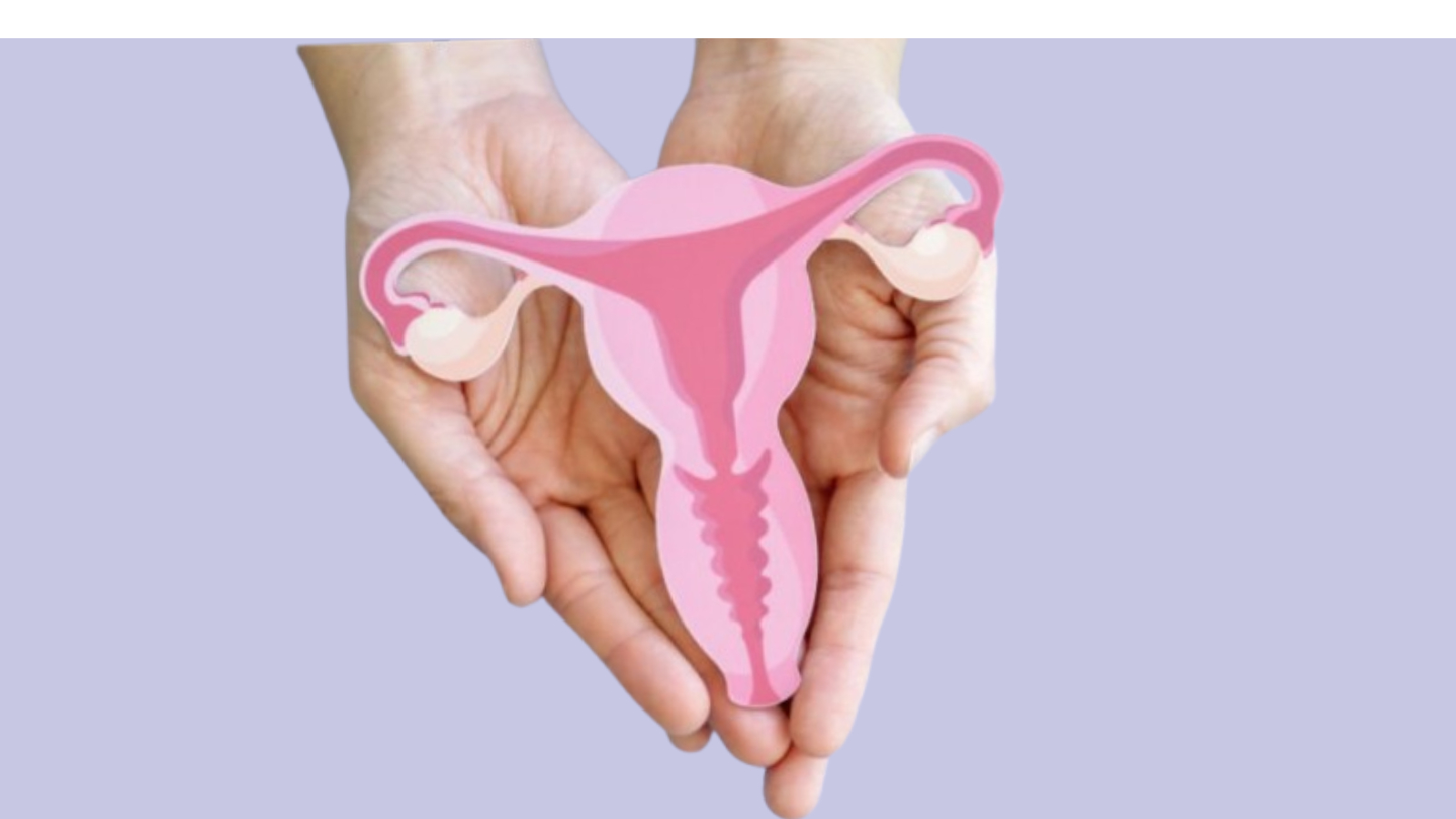 Karnataka unveils plans for a dedicated health policy for women