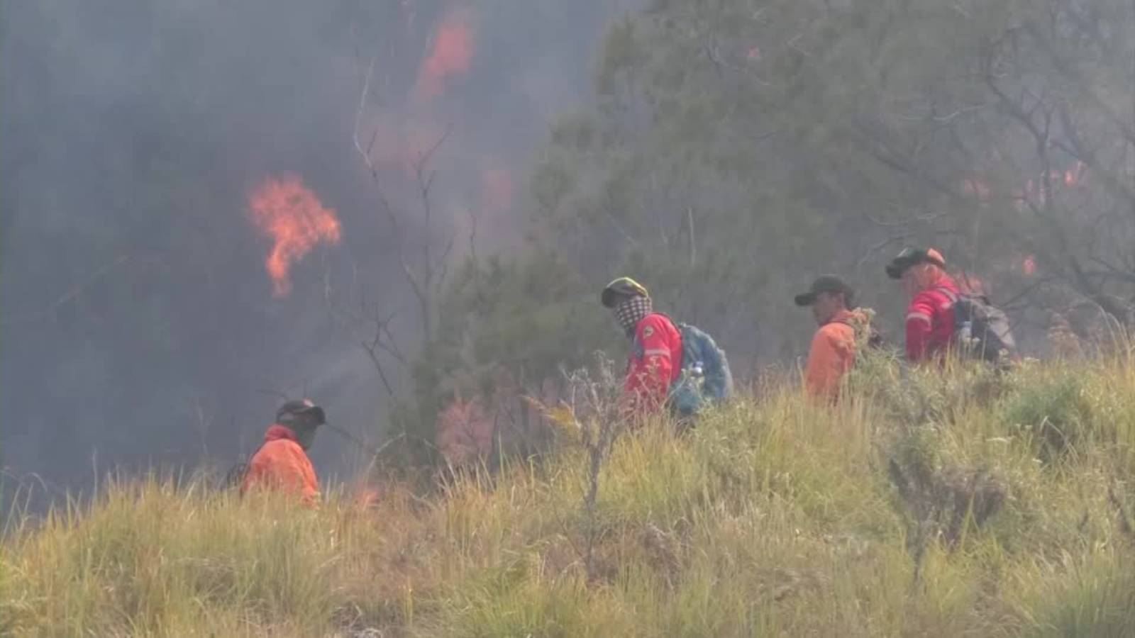 Indonesia battles growing wildfires as Mount Bromo blaze spreads
