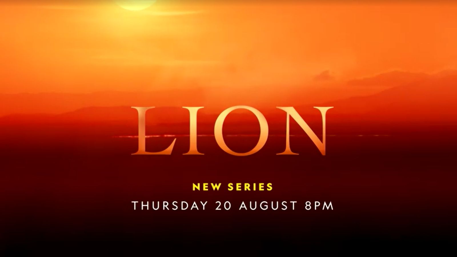 National Geographic's 'Lion' chronicles a cub's four-year journey in Kenya