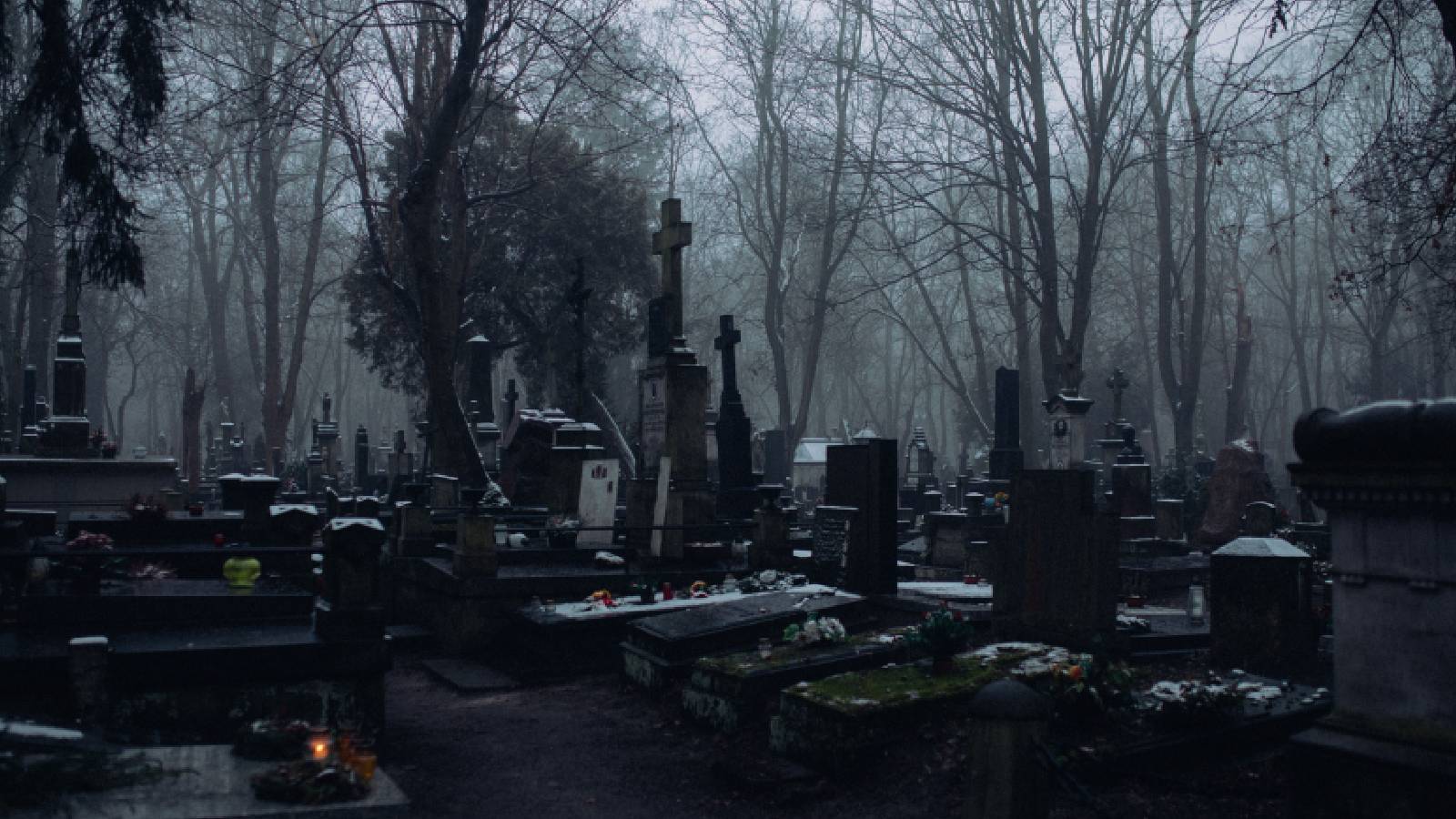 Dark tourism explained: Why do we visit places marked by crime, death and tragedy