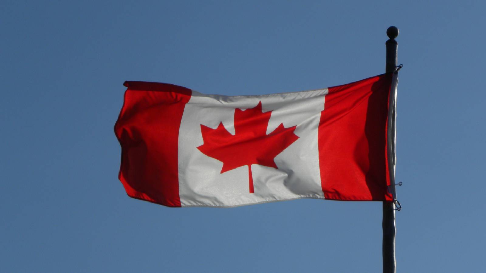 Why Trump's new Canada tariffs matter: Products, law and fallout | Explained