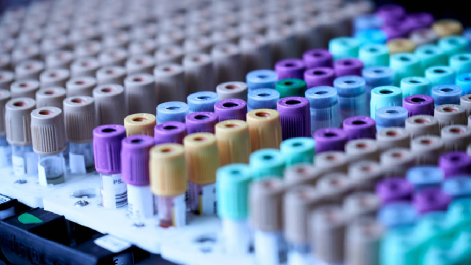 No new strain of H1N1 in India, no cause for panic: ICMR
