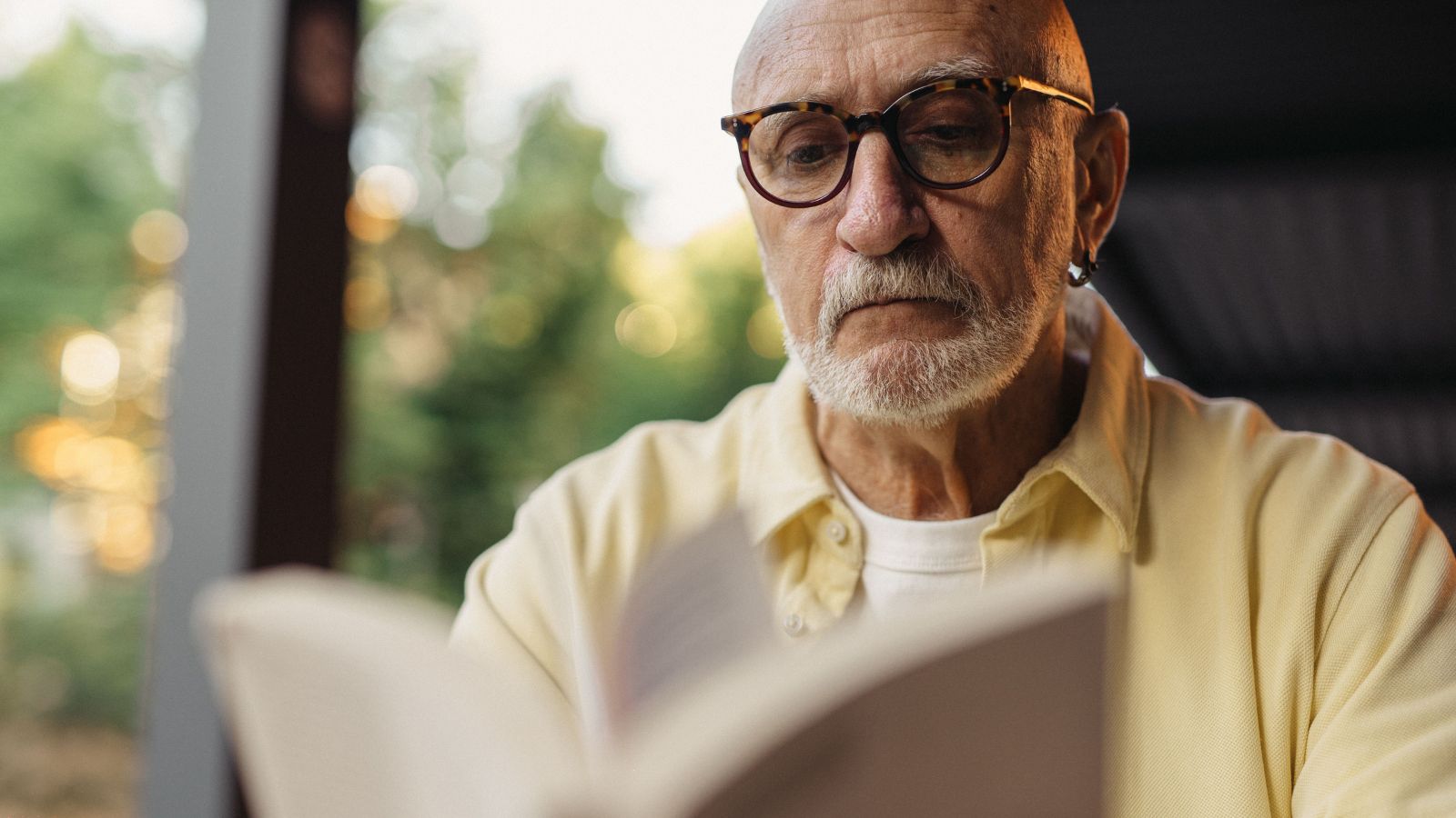Ageing does not alter language processing in the brain, study finds