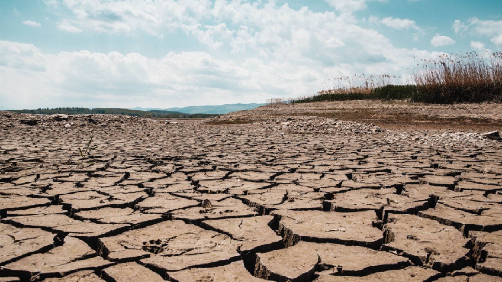 Why El Niño is intensifying and what it could mean for 2027