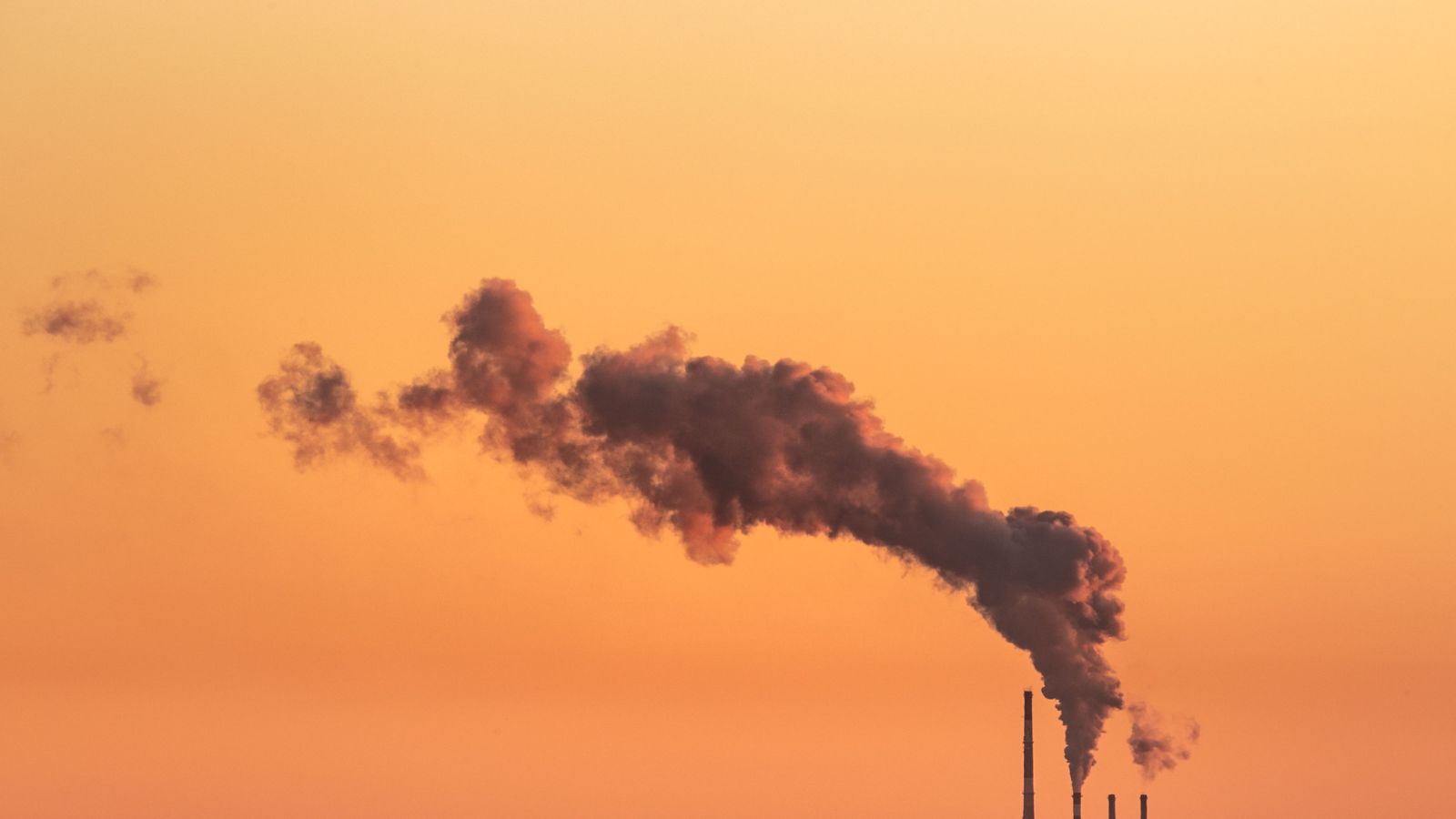 Delhi government launches citywide campaign to curb air pollution