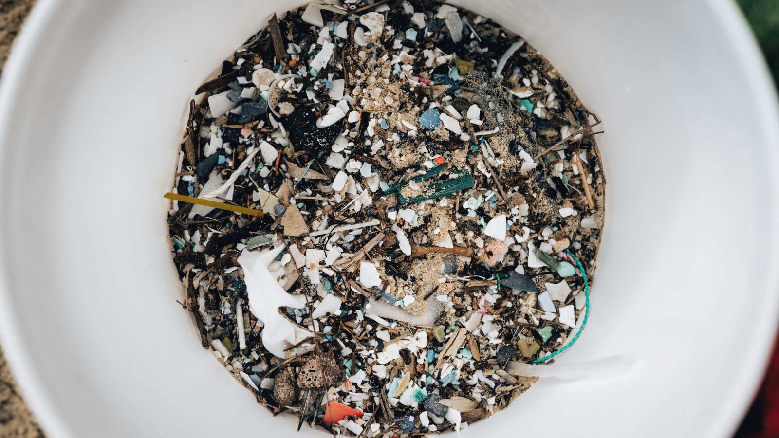 Microplastics act as platforms for chemical, biological contaminants: Review