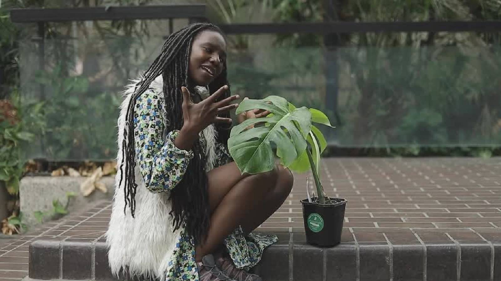 A tropical escape in the heart of London: Inside the Barbican Conservatory