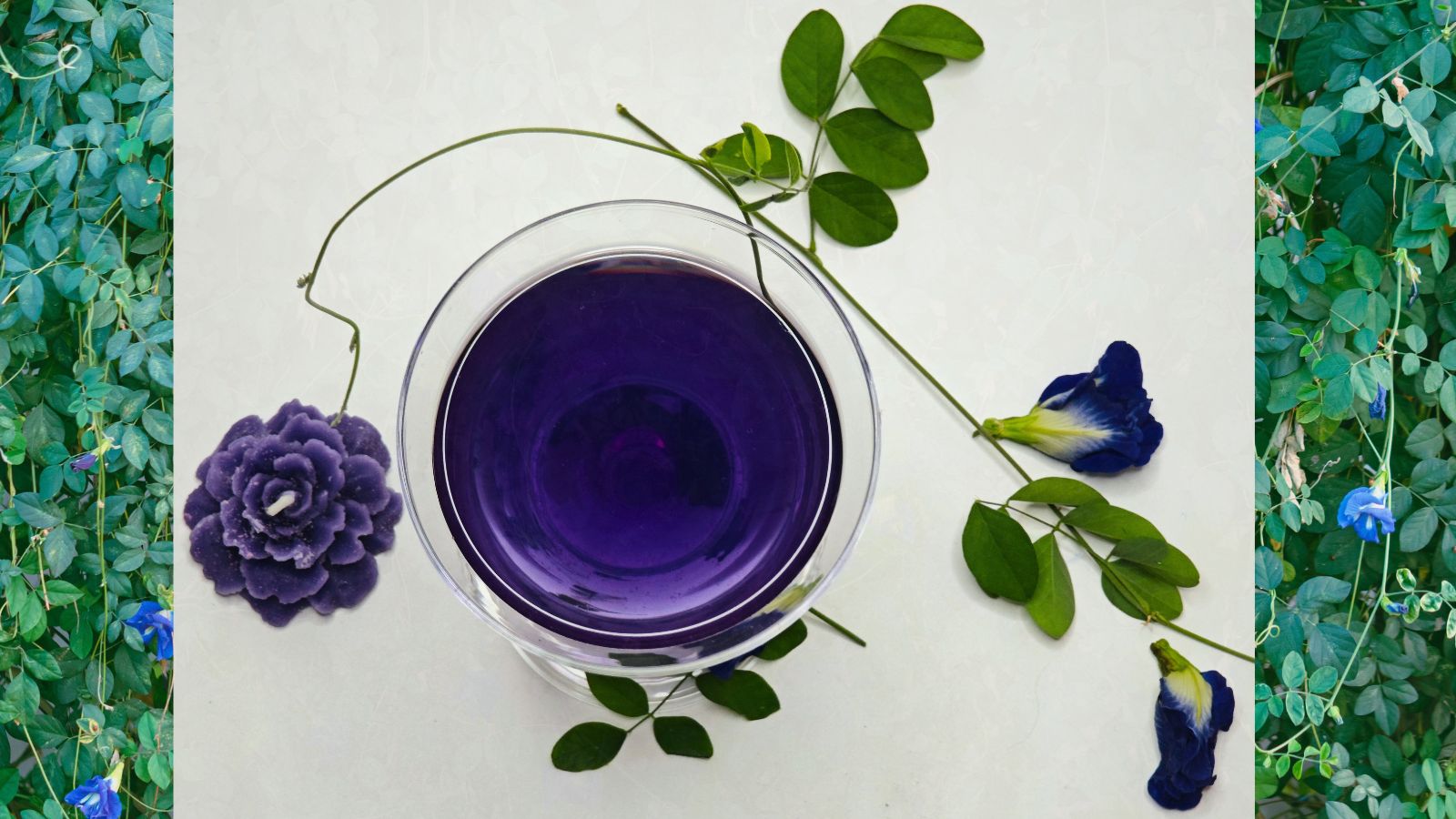 Caffeine-free Butterfly Pea Flower Tea