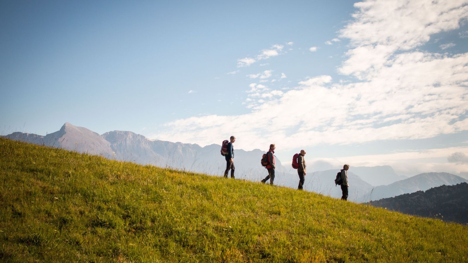 You can also find out hiking spots nearby and even find pet-friendly or wheelchair-accessible routes to explore. Photo: Pexels/Lucas Minniti