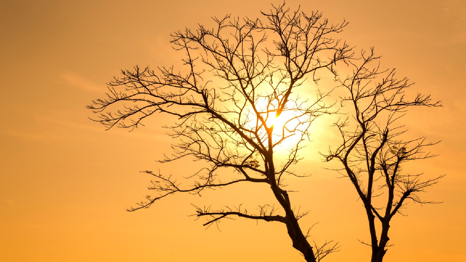 India faces elevated climate risk as El Niño is forecast to strengthen