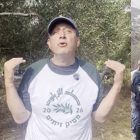 US congressional candidate detained by Israeli forces during West Bank olive harvest