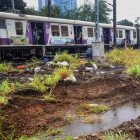 Mumbai local trains delayed after wire found hanging between Mulund and Thane