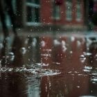 Keralam rain: IMD issues orange alert in four districts, yellow for the rest| October 22 Highlights