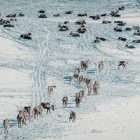 India calls for Arctic research cooperation as EU, US step up focus on Greenland