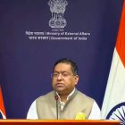 India says Ariha Shah has begun speaking Hindi words in German foster care