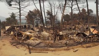Europe on fire: Heatwave and drought drive wildfire surge across continent