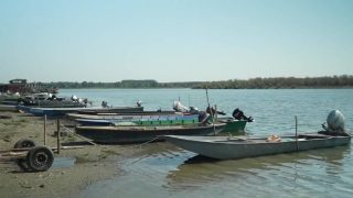 Danube River in Serbia drops to record-low water level, crippling energy grid, river transport
