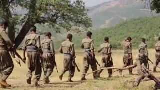 Kurdish-led Syrian Democratic Forces dissolves, merges with Syrian army