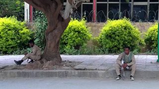 Why renewed Tigray fighting could trigger a wider war in Ethiopia