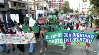 Peru activists march for abortion rights, highlighting minors facing forced motherhood