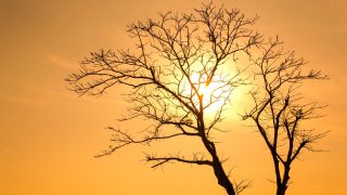 India faces elevated climate risk as El Niño is forecast to strengthen
