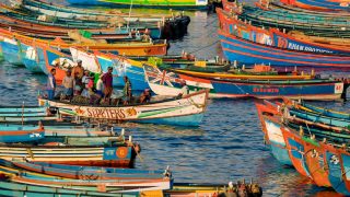 Chennai fishermen stage black flag protest against new Secretariat-Assembly complex plan