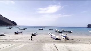 Saudi-backed Yemen forces claim control of strategic Bab el-Mandeb Strait