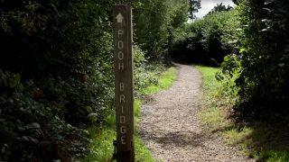 Walking through Winnie-the-Pooh’s Hundred Acre Wood, 100 years on