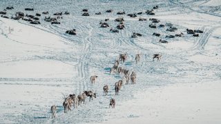 India calls for Arctic research cooperation as EU, US step up focus on Greenland