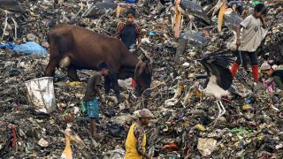 Gujarat court cites Manusmriti, sentences three men to life imprisonment for cow slaughter