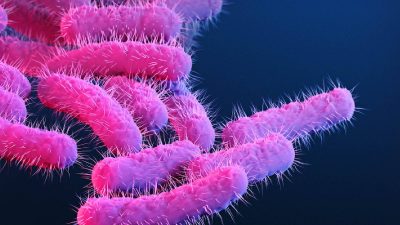 Kerala reports 146 Shigella cases, death toll rises to five