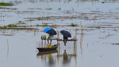 Assam floods: Situation improves as number of affected dips to 1.78 lakh