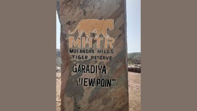 India's first 8-lane tunnel under Rajasthan tiger reserve to open in August