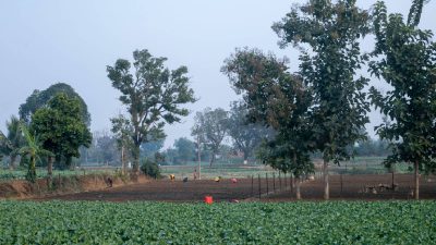 Chhattisgarh advises farmers to switch to short-duration crops amid El Niño concerns