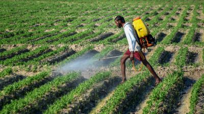 15 vessels carrying urea, DAP and Sulphur cross Strait of Hormuz safely, says India