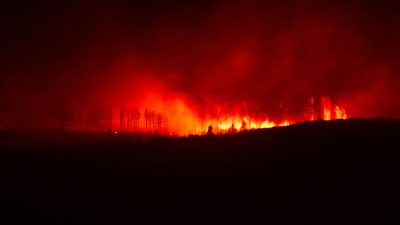 Southern Spain wildfire kills 12 as hundreds of firefighters battle massive blaze