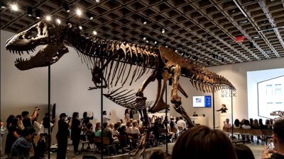 Who is Gus? The T. rex dinosaur that sold for more than $50 million